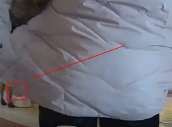 Кто быстрее увидит нарушение на воронежских выборах - Иванов или Памфилова?