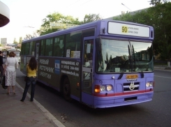 Александру Гусеву не удалось обязать владельцев автобусов и маршруток снять бортовую рекламу