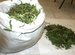 Сотрудники ФСКН нашли мешок конопли у жителя Левого берега 