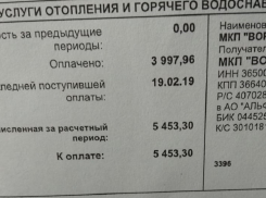 Коммунальщики объяснили, почему воронежцы получили квитанции с долгами 