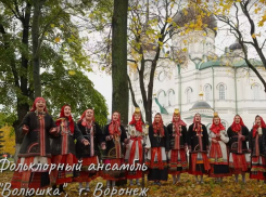 Воронежцы мощно выступили против отмены русской культуры