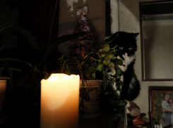 Массовые отключения света произойдут в восьми районах Воронежской области: опубликован список домов