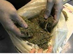 У жителя Хохольского района изъят мешок марихуаны