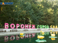 Фестиваль «Город-Сад» оказался сильнее коронавируса в Воронеже 