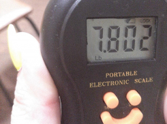 На трасе М-4 туристы раскрыли схему обмана при помощи фунтов