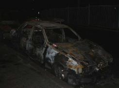 Юрий Немкин берет под контроль расследование поджогов машин в Воронеже