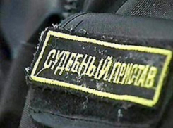 В Воронежской области за прошедший год судебные приставы изъяли 2,5 миллиарда рублей
