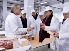 За марание мясной гордости бывшего воронежского губернатора арестовали половину Фонда «Наследия» 