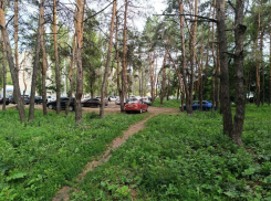 Зеленую зону Воронежа превратили в бесконтрольную парковку: опубликовано видео