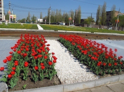 Весна в Воронеж вернется в середине недели