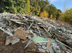 Преступление в лесу: горы строительного мусора возмутили жителей Воронежа