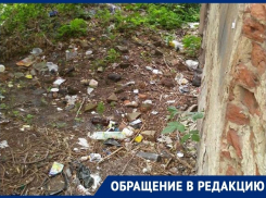 Скрытые кошмары Сталинской башни показали на фото в Воронеже