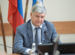 Выборы в Госдуму не приумножили политический капитал воронежского губернатора