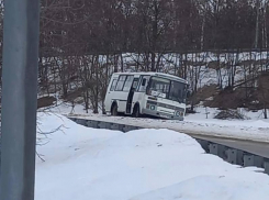 Автобус с пассажирами вылетел с дороги из-за гололеда под Воронежем