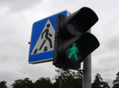 Под Воронежем на трассе иномарка насмерть сбила 58-летнего мужчину 