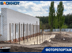 Как идет строительство первого муниципального приюта для собак в Воронеже - одного из крупнейших в России