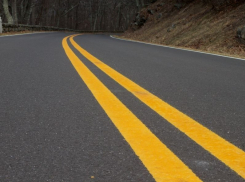 Против строительства дороги от Шишкова до Тимирязева в Воронеже создали петицию