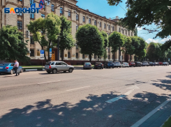 Казус Кустова-Пантеровского: новую партию машин купят для странного учреждения воронежского правительства