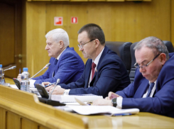 Воронежские депутаты начали делать то, чего не делали много лет