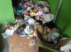 В скотный двор превратила многоэтажку в Воронеже компания Михаила Палютина