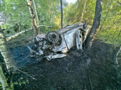 Подросток из Воронежа сгорел в машине на трассе в Панинском районе