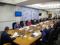 Должность третьего вице-спикера планируют ввести в Воронежской областной Думе