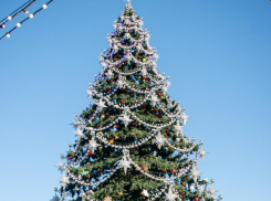 Старую елку передумали перевозить с площади Ленина в воронежский парк 