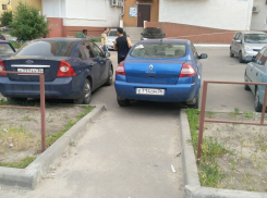 Потерявшее совесть Renault запечатлели в воронежском дворе