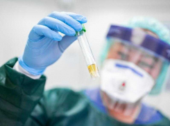 В 100 раз выросло число выздоровлений от Covid-19 за сутки в Воронежской области