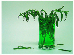 Житель Воронежской области купил напиток Тархун и чуть не подавился осколком стекла