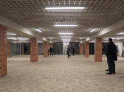 Реконструкция перехода у цирка в Воронеже стала примером нестыдной концессии