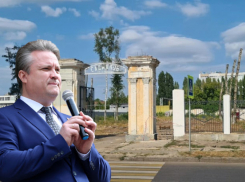 Вместо уничтоженных деревьев будет газон – как городская администрация благоустраивает парк Тельмана 