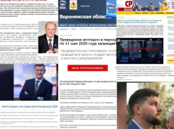 «Родина» против золотых пенсионеров и «губернатор-паровоз» для ЕР: чем отличились партии в Воронеже