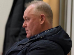 Бавыкин и Васькова заплатят государству почти 7 миллионов рублей по решению воронежского суда