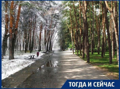 Что стало отправной точкой благоустройства парков Воронежа