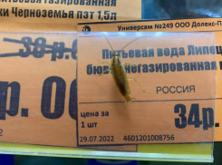 Усатый десант посветил хитином в воронежском «Центрторге»
