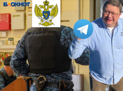 Депутат Воронежской гордумы предложил Роскомнадзору деанонимизировать телеграм-каналы