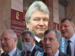 Владимир Ходырев воскрес, а городские депутаты странно оценили свою работу на благо воронежцев