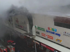 Врио мэра Воронежа распорядился проверить все ТЦ после гибели людей в Кемерове