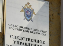 Беженцев с Украины, которые приехали в Воронежскую область, будут допрашивать следователи