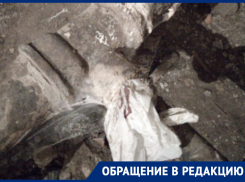 «Просто затыкают пакетом»: воронежцы и коммунальщики по-разному рассказали о ремонте трубы 