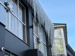 Мегасоскульки грозят головам воронежцев