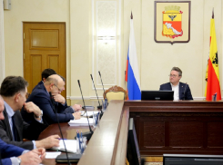 В Воронеже будут перерабатывать выброшенные новогодние елки 