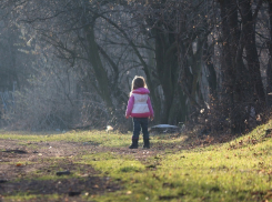 Стали известны страшные подробности исчезновения 2-летней девочки под Воронежем