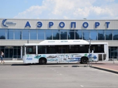 Общественники представили 5 вариантов имен для воронежского аэропорта 