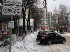 Жалкое существование платных парковок зимой показали в Воронеже