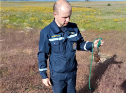 Оборонительную осколочную гранату на боевом взводе нашли воронежские МЧСники 