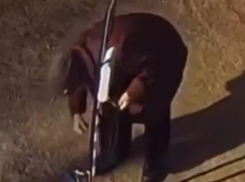 Странный поступок пенсионерки попал на видео в Воронеже