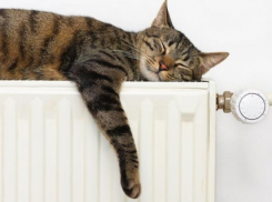 Когда отключат отопление в Воронеже, рассказали в мэрии