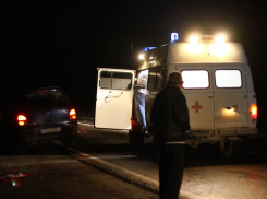 Под Воронежем «ВАЗ» вылетел в кювет: погиб пассажир